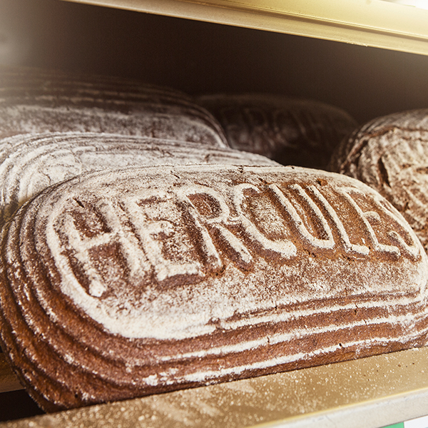 Hercules-Brot mit Mehlschriftzug